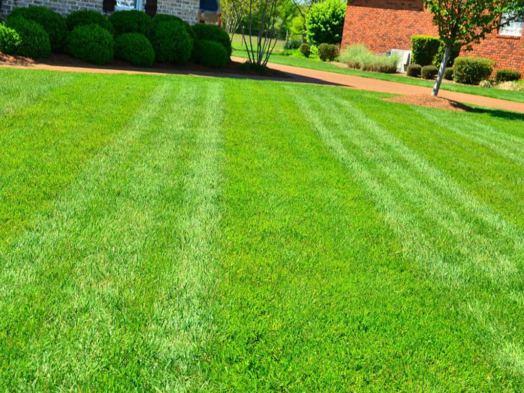 Lawn aeration service – JT Landscaping